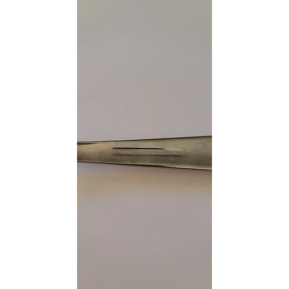 Cambridge Silver Metro Glossy Fork Stainless Steel Three Prong Serving Fork